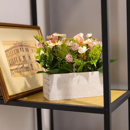 New Calea Victoriei, Old Apartment Bucharest