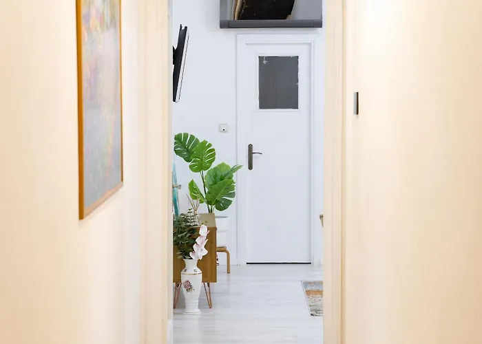 Appartement New Calea Victoriei, Old *