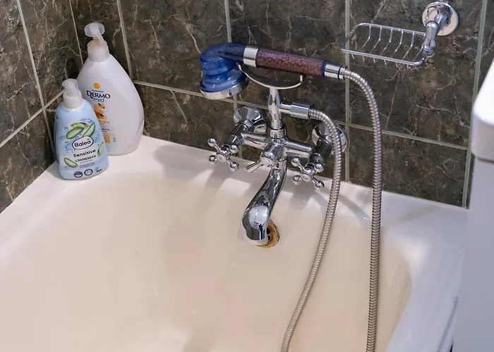 Appartement New Calea Victoriei, Old