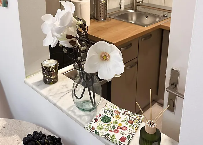 Appartement New Calea Victoriei, Old *